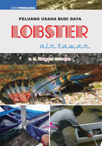 Image of Peluang Usaha Budi Daya Lobster Air Tawar